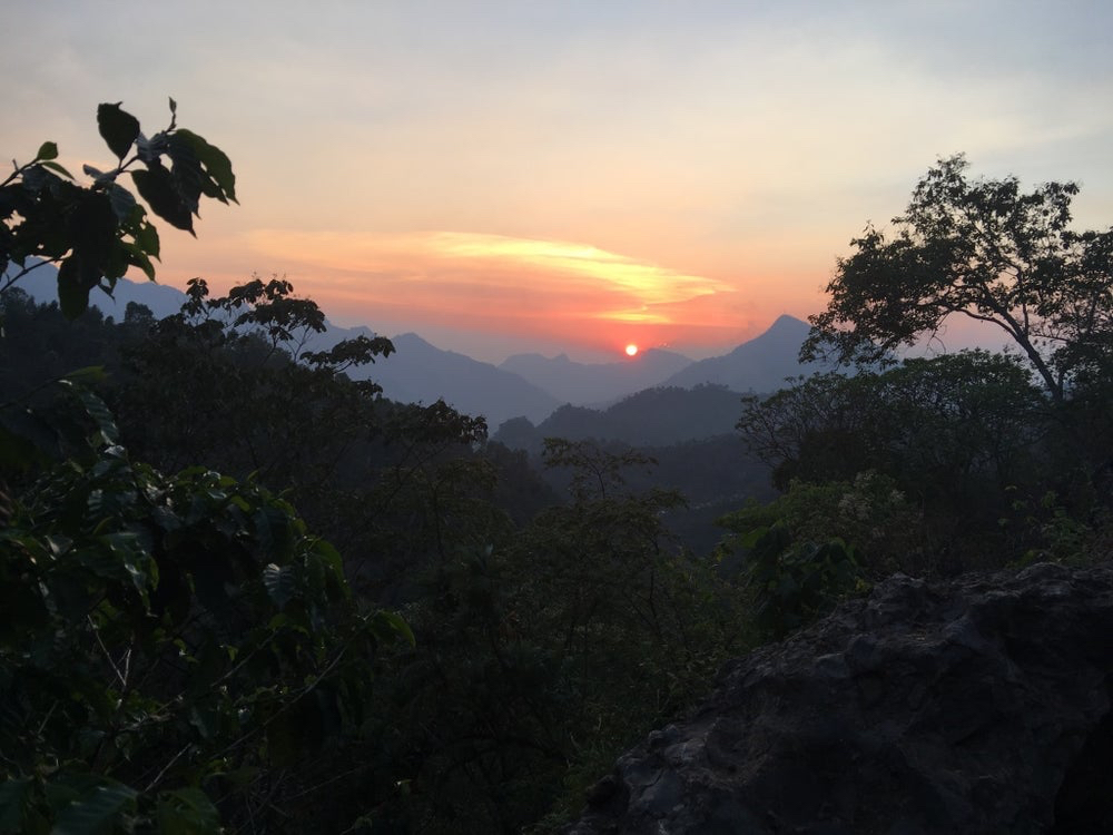 BIO káva | Guatemala AAPICUC | Espresso